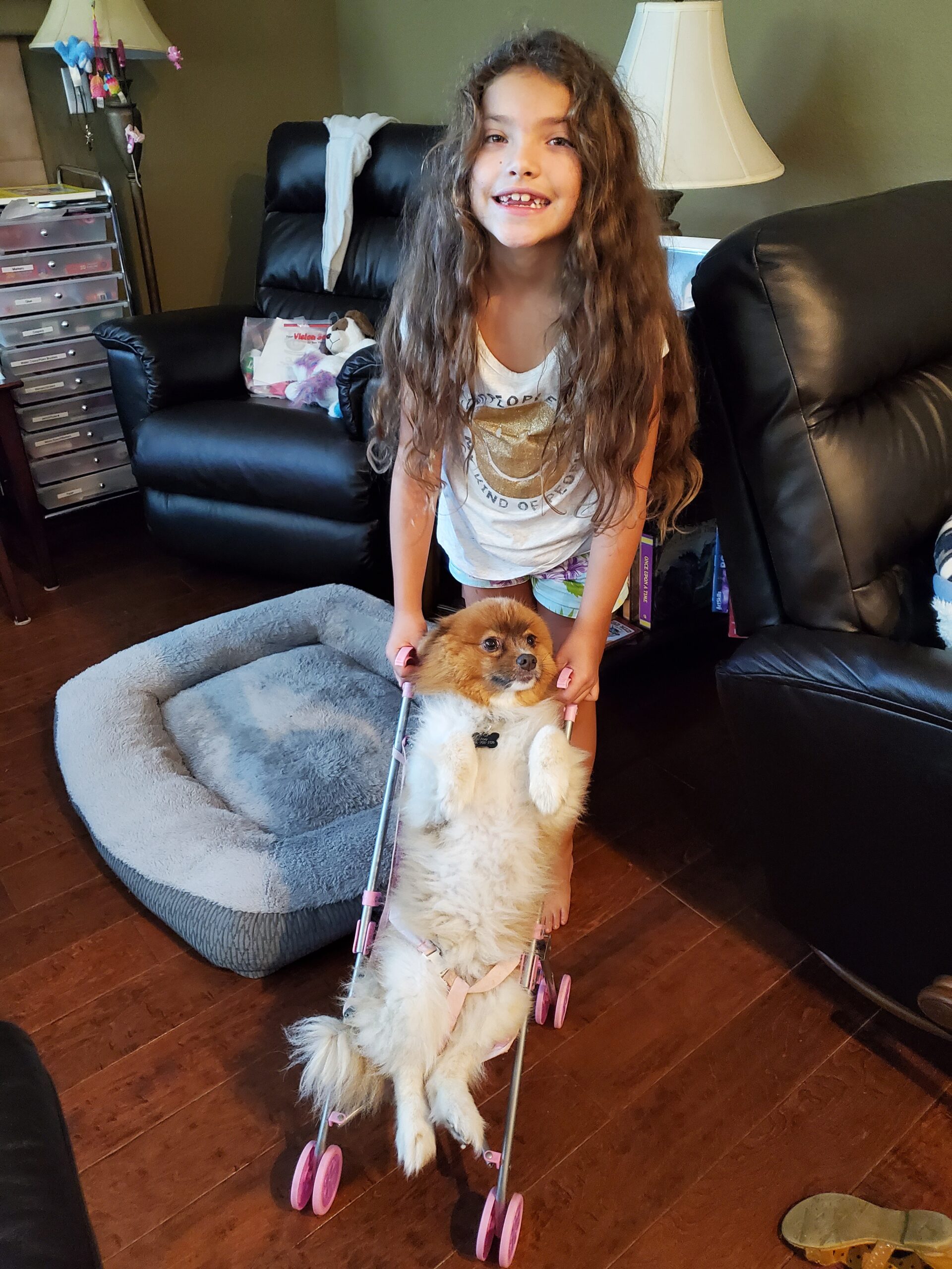 A young girl with long hair smiles softly, standing behind a small dog in a stroller. This heartwarming scene, set in a room with a dog bed, lamp, and recliner, subtly under