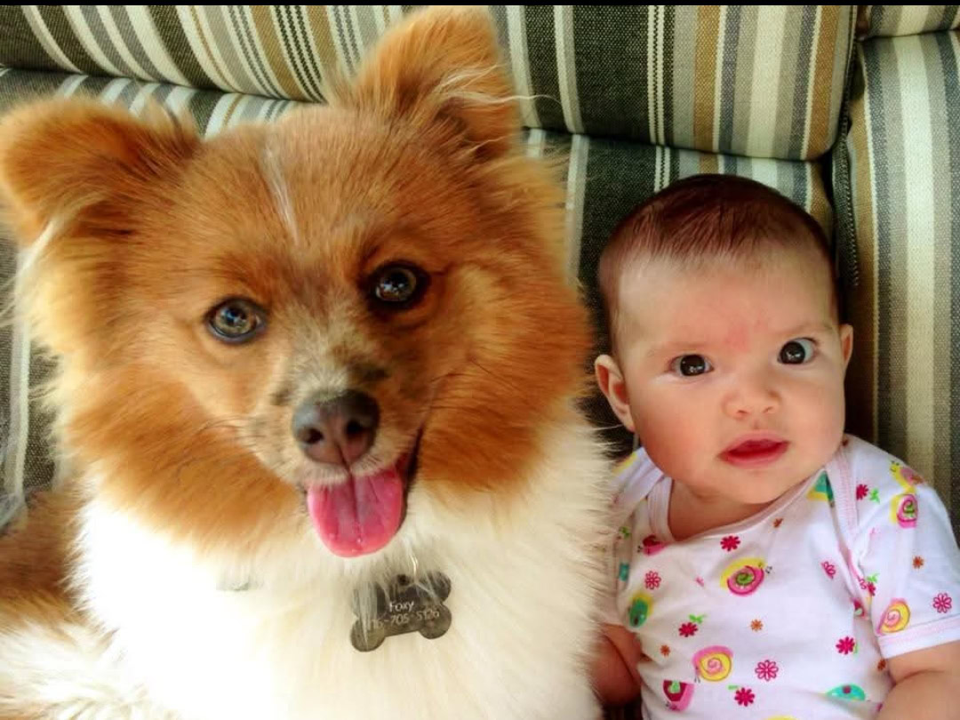 A brown and white dog with a tag offers comforting companionship, sitting next to a baby in a floral onesie on a striped cushion. As the dog pants gently, the baby looks ahead, both embodying healing through shared moments of simple joy.